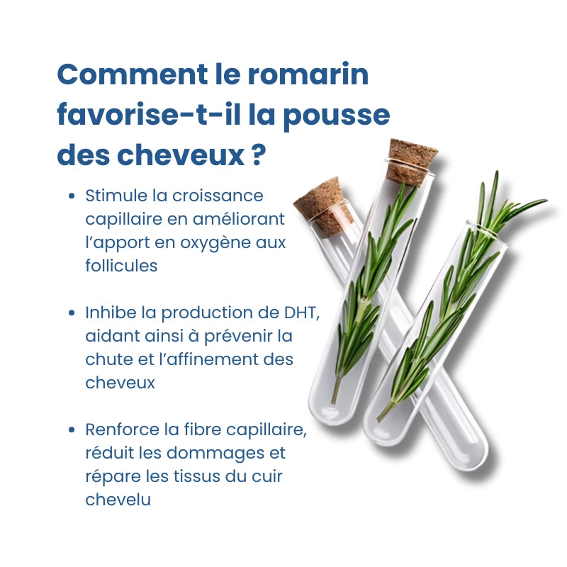 Bodywise⎟Sérum Repousse Cheveux – Format Roll-On (25 ml)