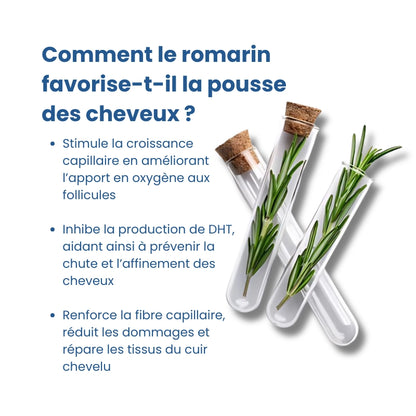 Bodywise⎟Sérum Repousse Cheveux – Format Roll-On (25 ml)