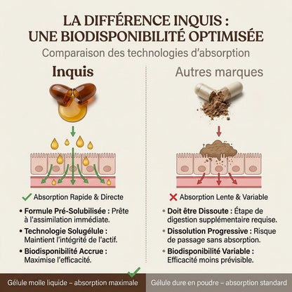 Cannelle de Ceylan pour soutenir une glycémie saine